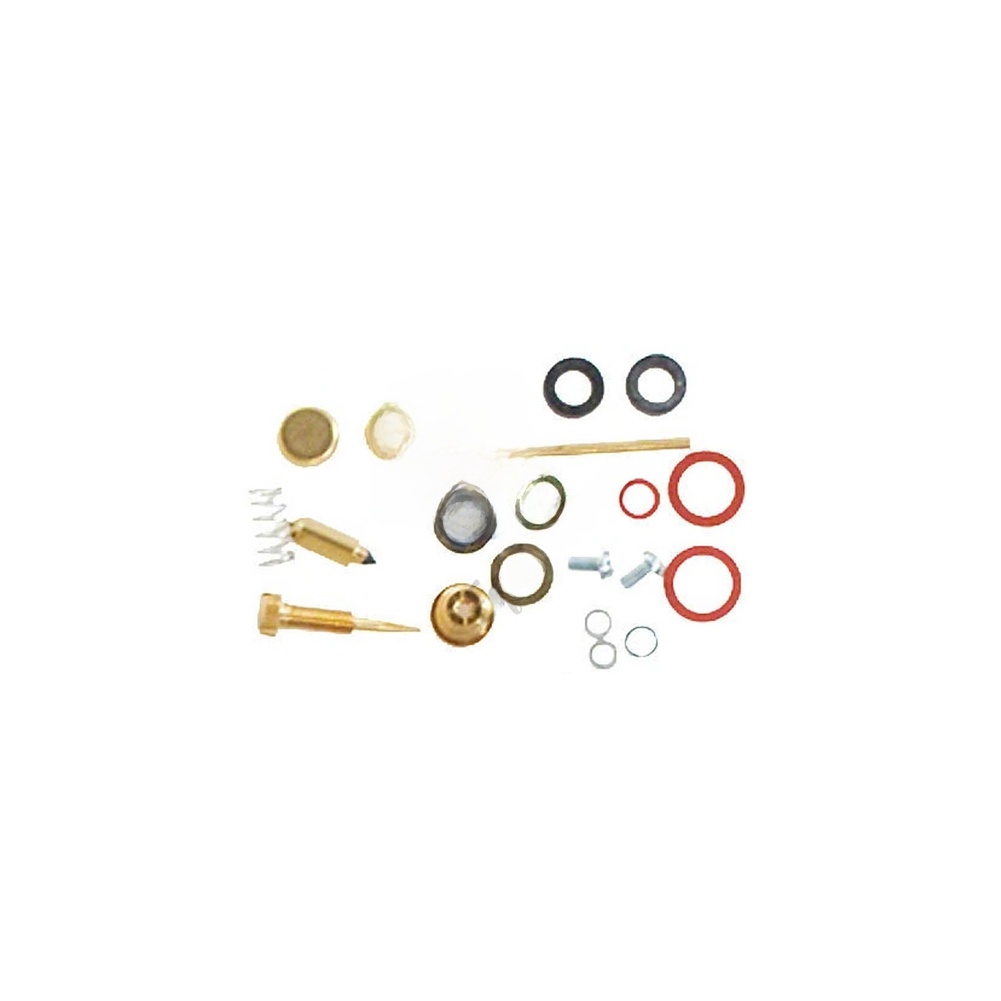 Kit di Riparazione Carburatore - Outdoor Power Tool Kit recensione e prezzo